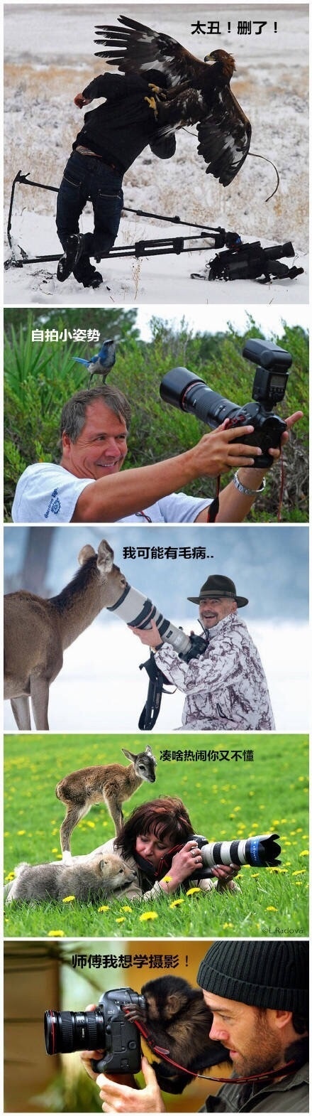 国产福利视频
