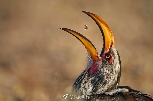 91无人区乱码一二三四区别