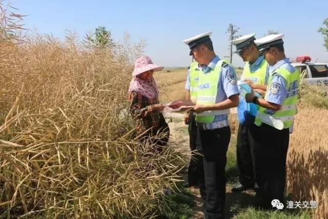 熟女中国女人日日日视频