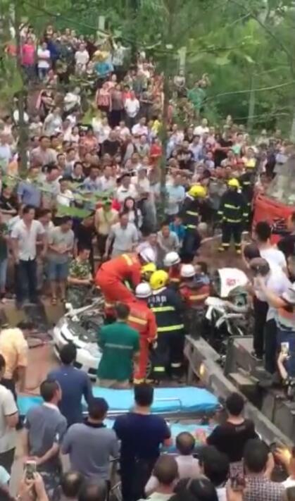 欧美人与兽老妇50一区二区视频