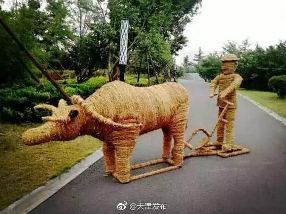 欧美Vibawfsee性派对