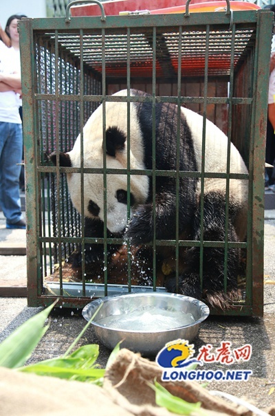 三上悠亚ssnI-490无码