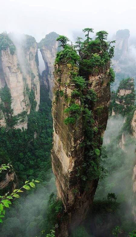 黄色成年无码