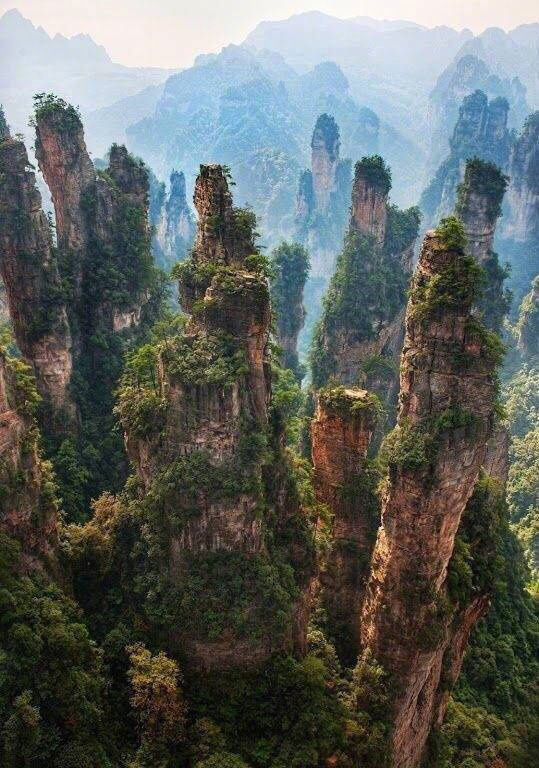 地方媽媽