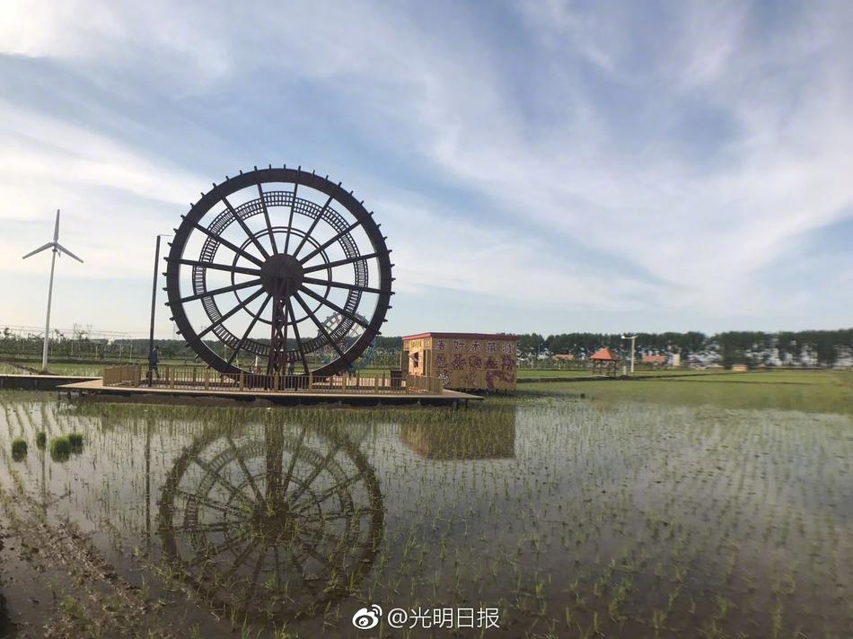 八重神子和丘丘人繁殖后代的视频