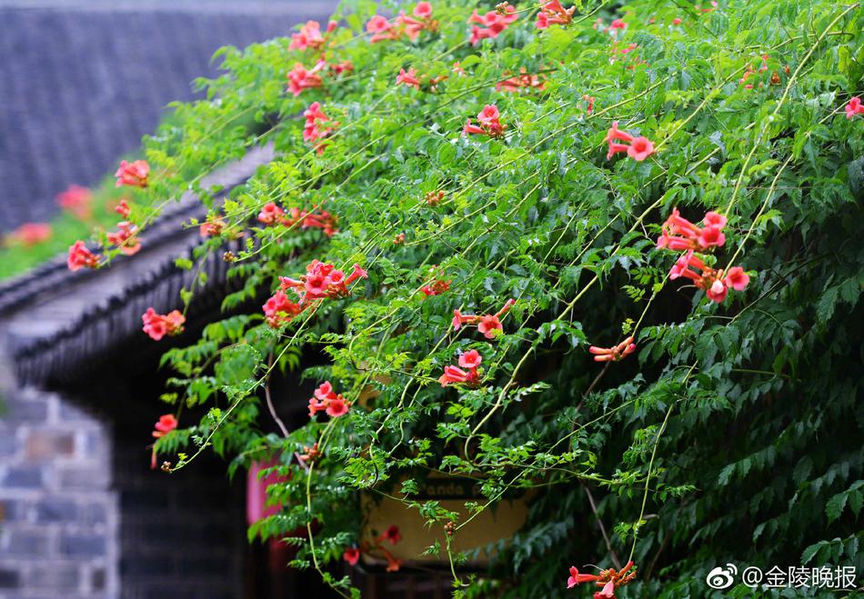天天操狠狠操