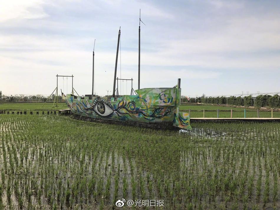 小樱同意让博人吃饺子