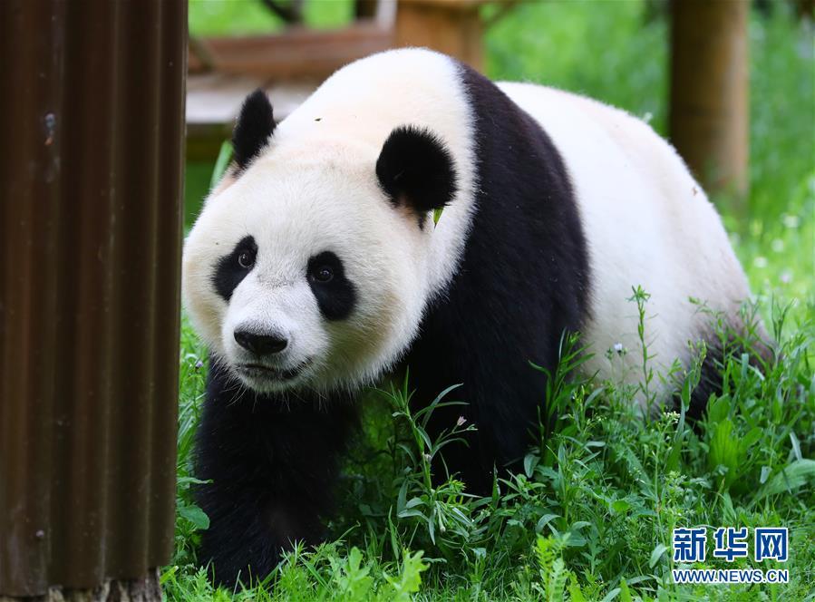 免费 线 上 成人 影片