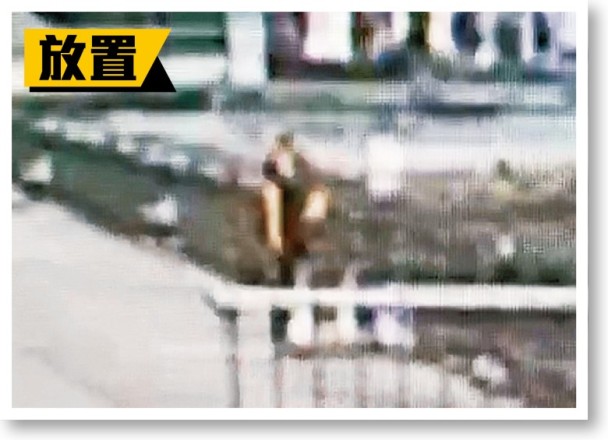 亚精品免费观看mv免