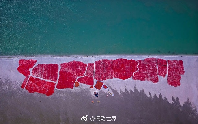 Xx黄色网效沾占站