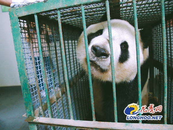 台湾三级片电影手机观看