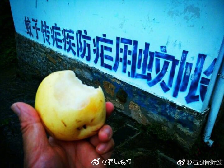 怒族人口_怒族(3)