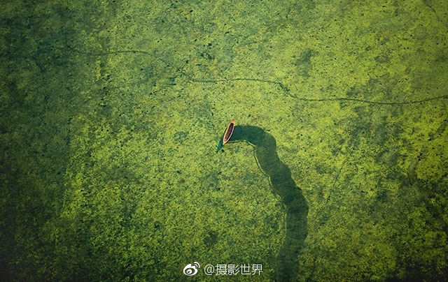 黑人巨屌狠插进去
