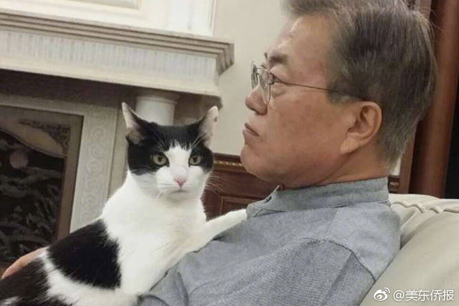 欧美日韩视频