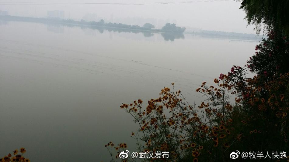 金银湖人口_金银湖(2)