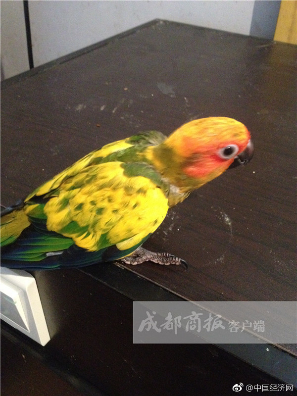 新疆老师性Xxxxbb