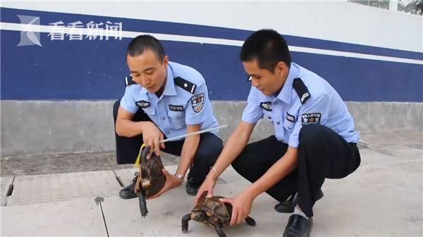 。黄色视频播放