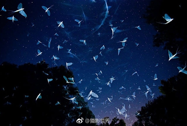 我要看三级片成年人看的三级片
