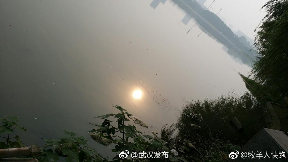 老师让我吃她胸 摸她奶