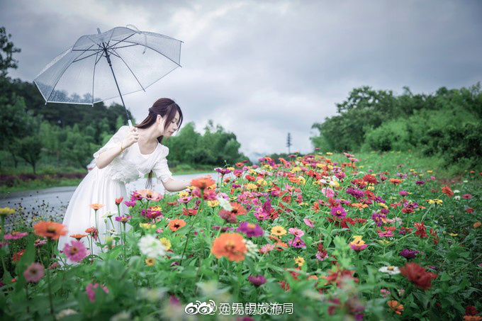 美女扒开尿口给男人桶