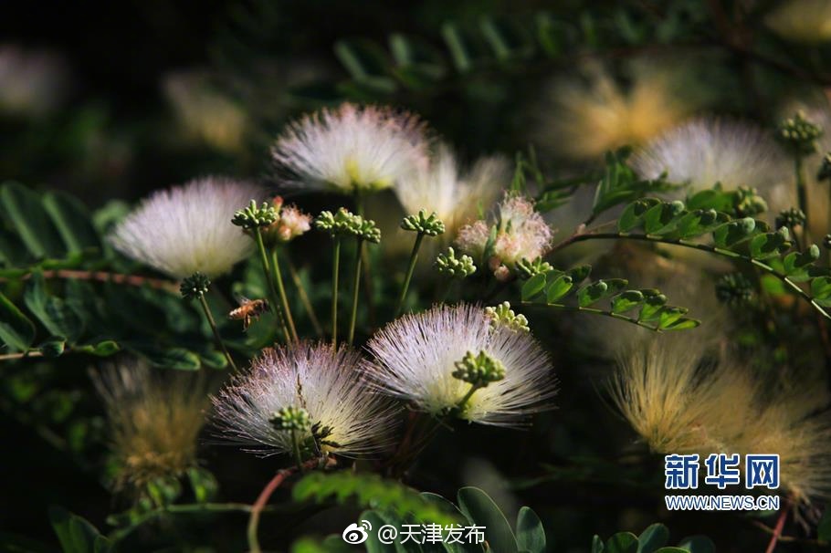 欧美肥婆性生活