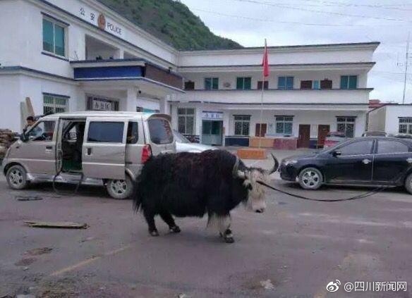 女厕撒尿BBBBB