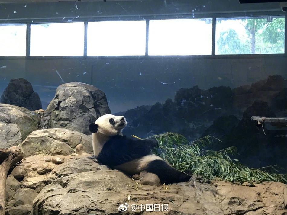 日本少妇高潮抽搐