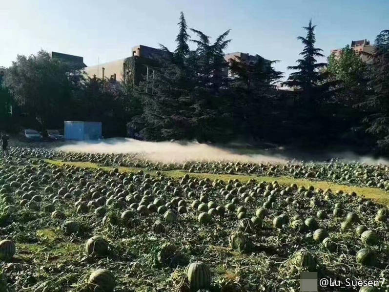 国产后入清纯学生妹