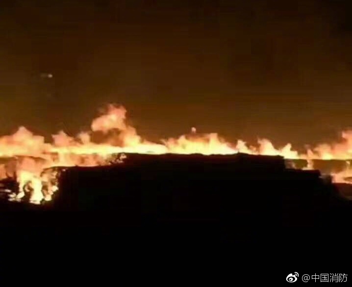 腿控福利