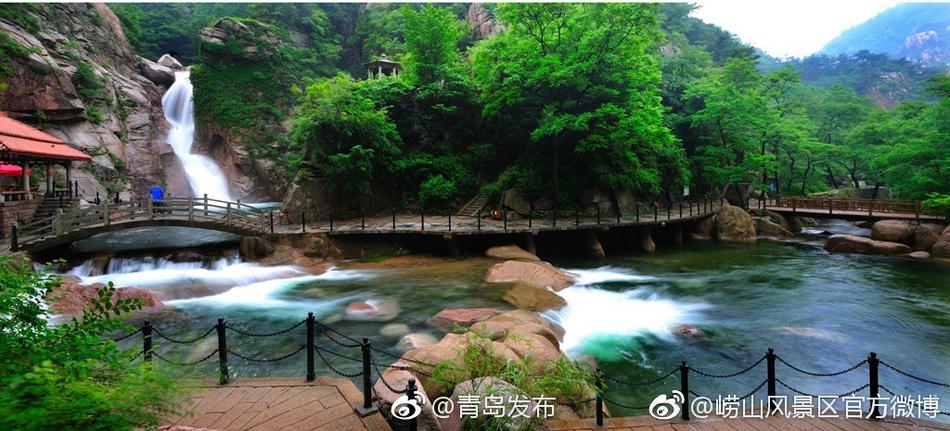 黄色网站快播