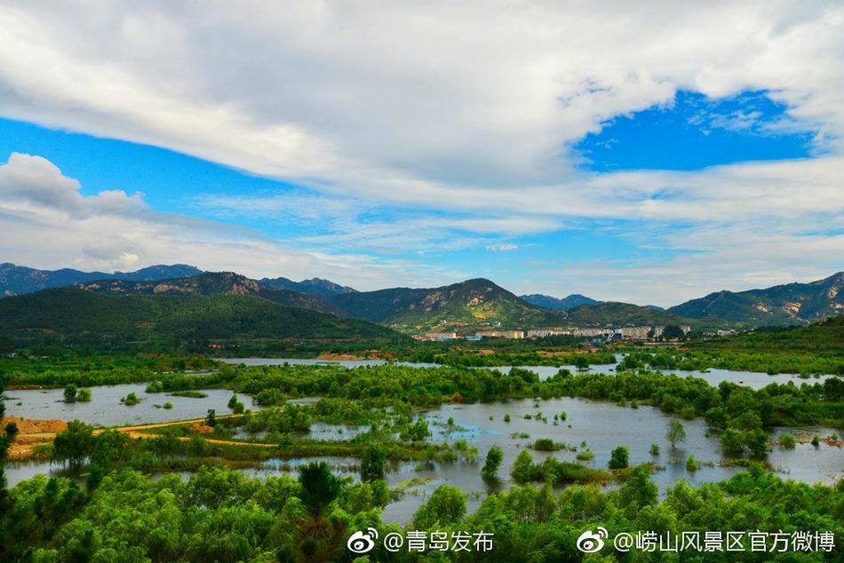 高清 成人 在线