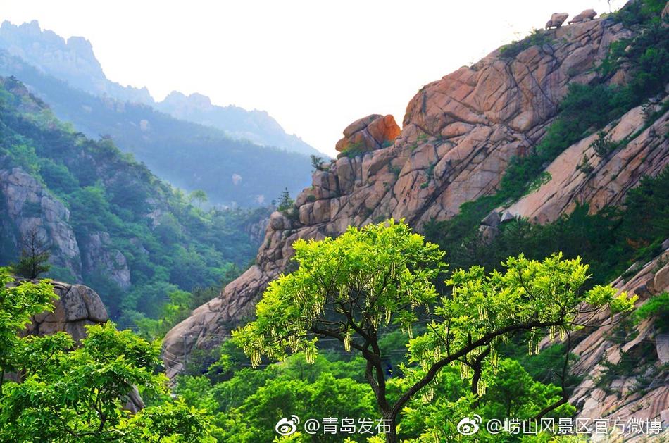 棉袜控