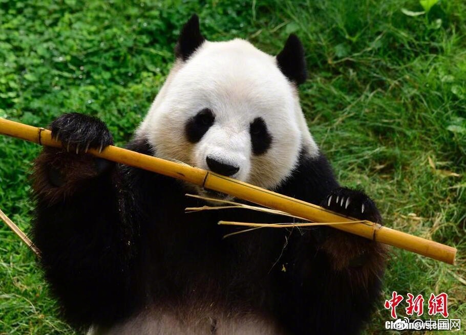 色情综合