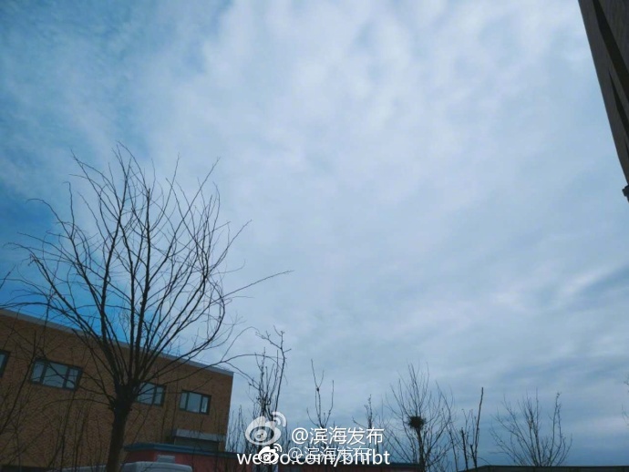 十八摸软件