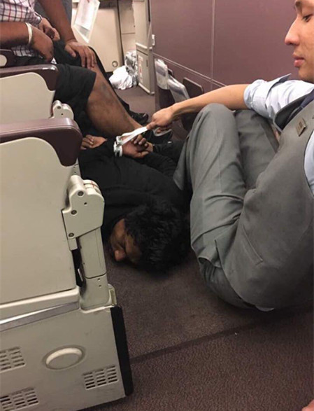 押尾猫