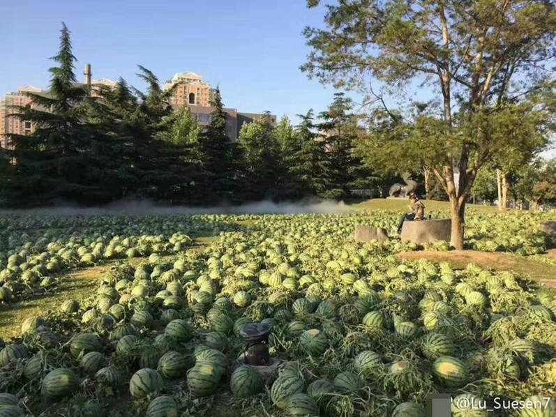 黑人大吊黄色三级片