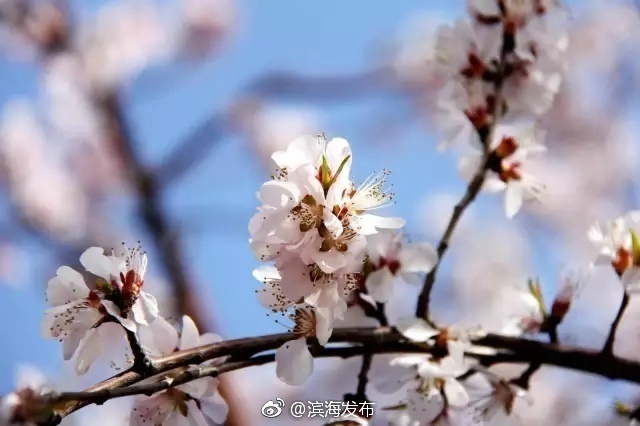 动漫 Av 电影