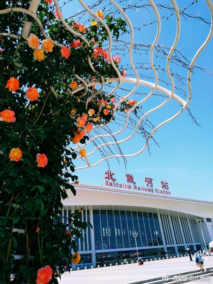 日本正妹