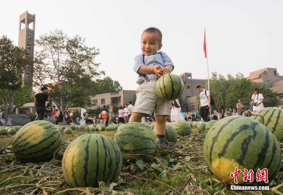 泰国黄色电影带视频的