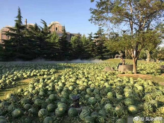 侠客风云传