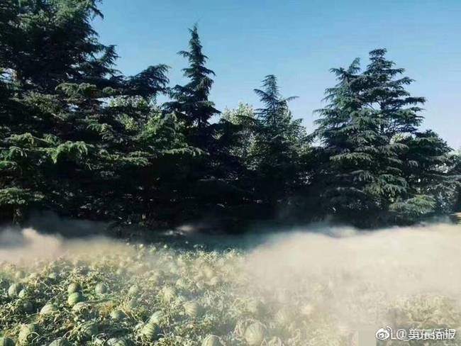 男男gαy洗澡互吃鳮吧网站