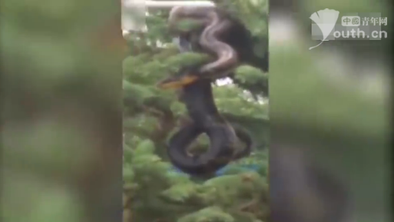 岛国福利波多野结衣无码视频