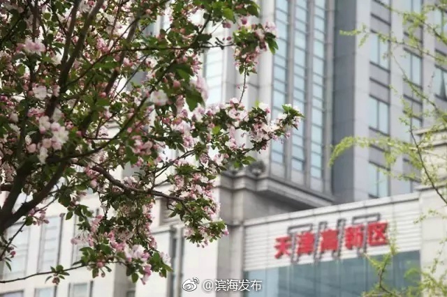 歡樂椅
