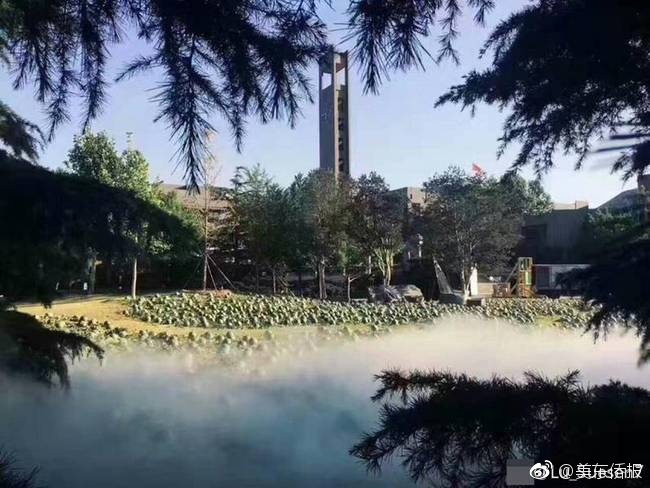 黄片大全无需下载免费观看