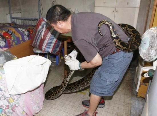 男人秘 桶进美女坤坤里