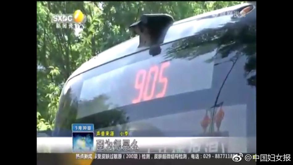 泳衣无码