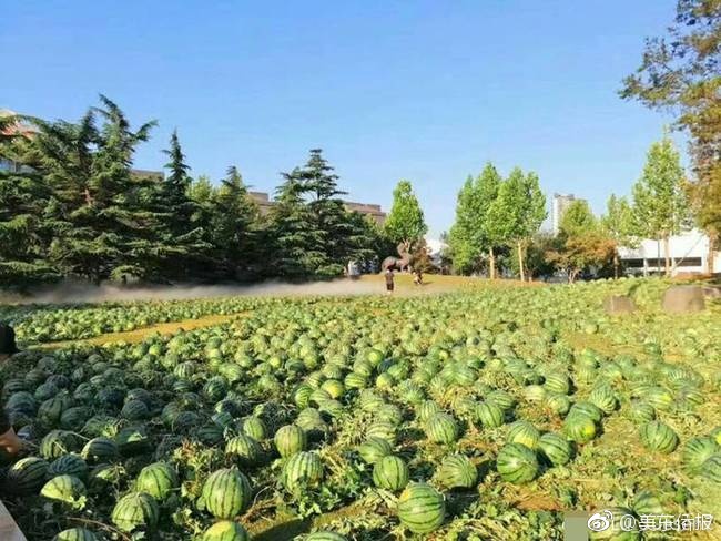 乌克兰一级片