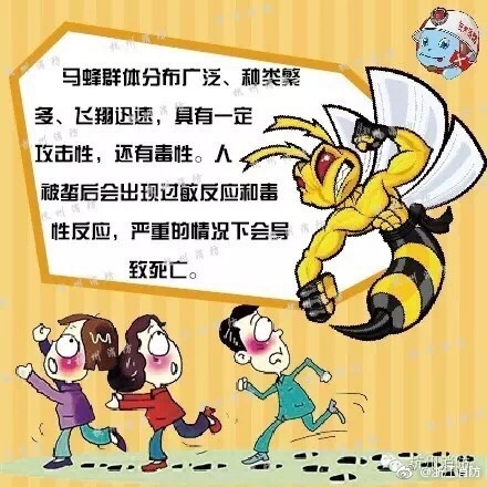 欧美臀交