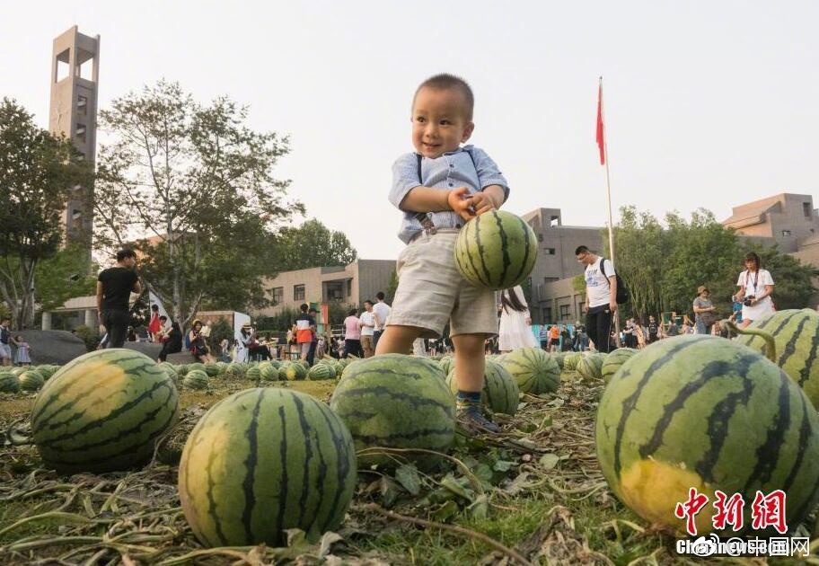 免费高清黄色网站