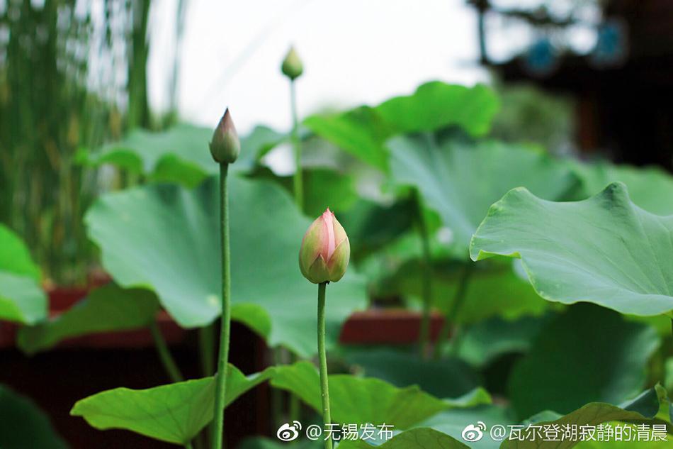 亚州熟女精品
